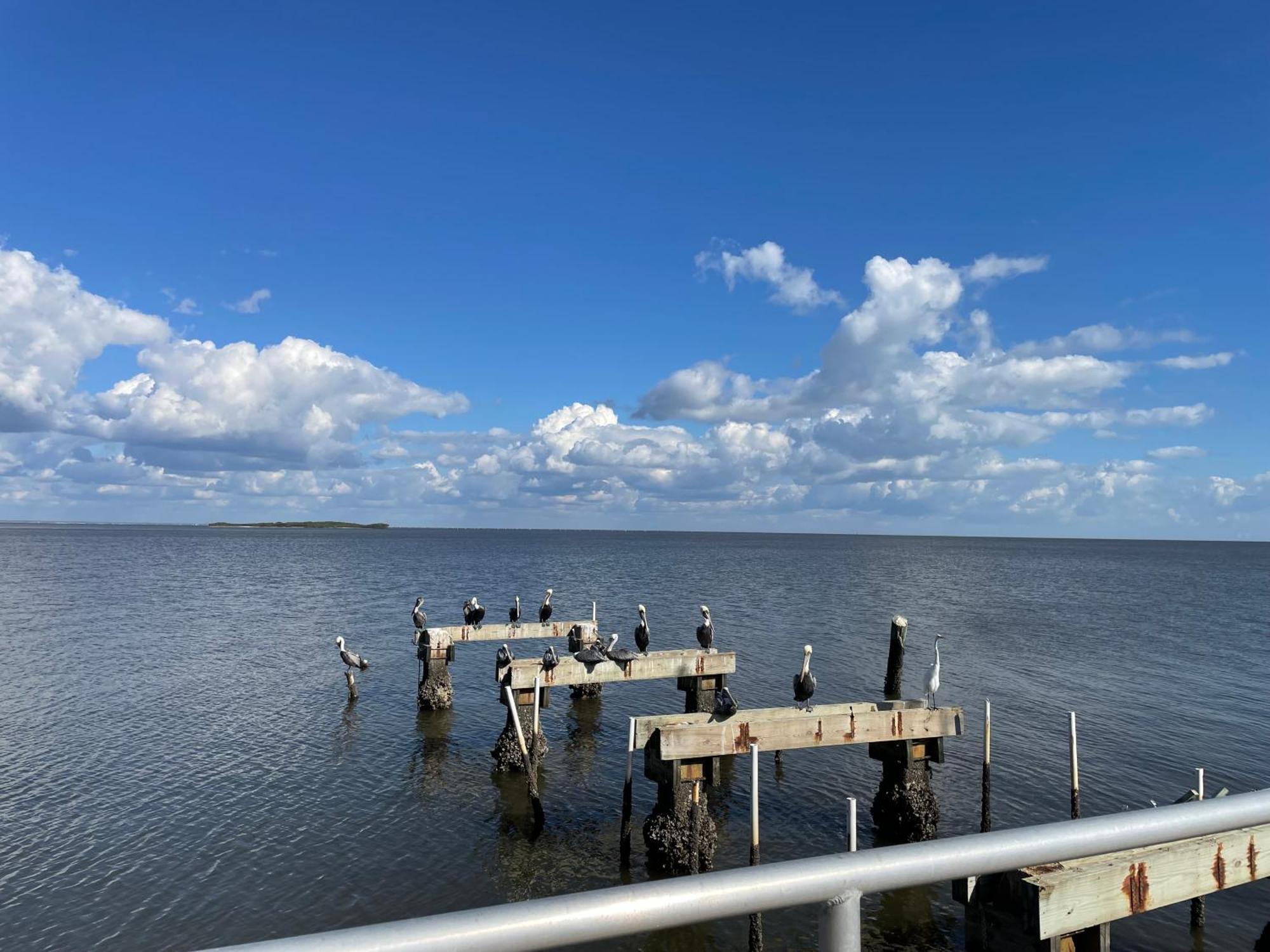 Cedar Key Florida Condo At Park Place Zewnętrze zdjęcie