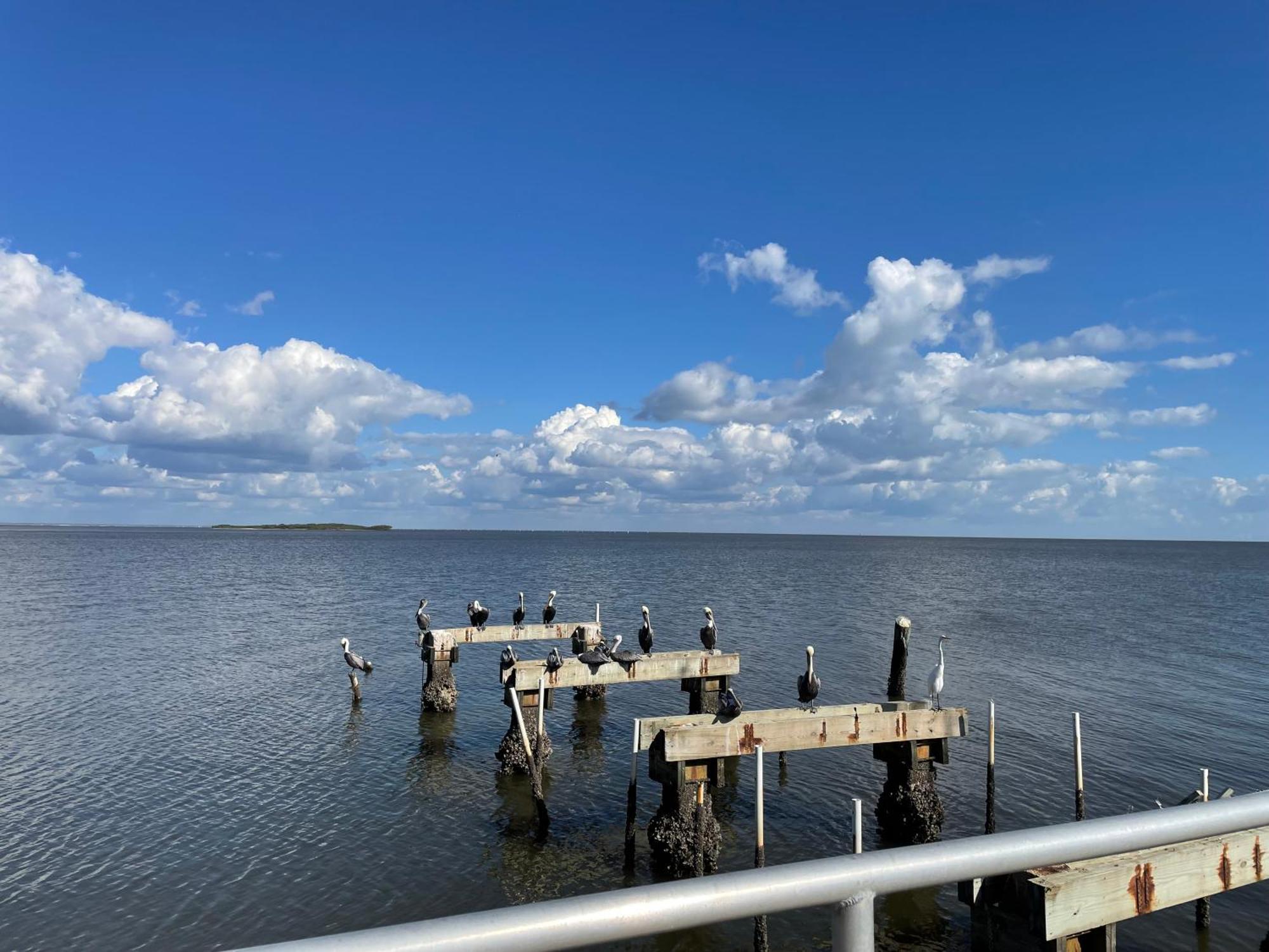 Cedar Key Florida Condo At Park Place Zewnętrze zdjęcie